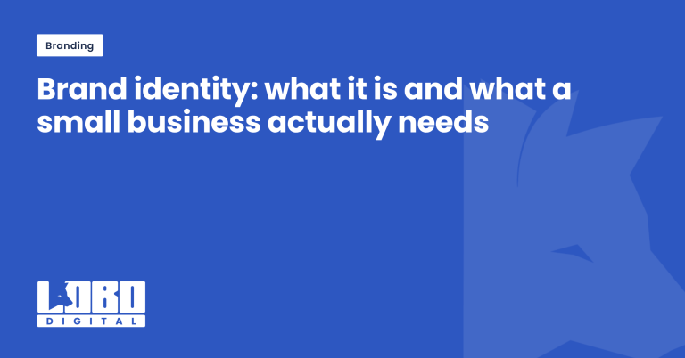 Brand identity guide for small businesses, Lobo Digital featured image