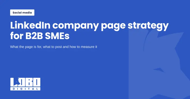 Blue hero banner with a small 'Social media' badge and a large white headline: 'LinkedIn company page strategy for B2B SMEs'.
